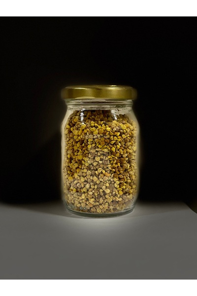 Polen 100 GR