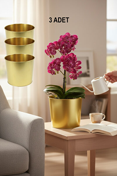 EVSTYLE 3 LÜ GOLD SAKSI 22 CM ÇAP