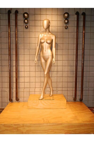 MD Vİtrin Dekorasyon Modern ve Zarif Delüks Vitrin Mankeni Vizon Renk