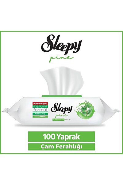 Sleepy 5 قطع من مناشف تنظيف الأسطح من الصنوبر، نضارة الصنوبر، 100 قطعة