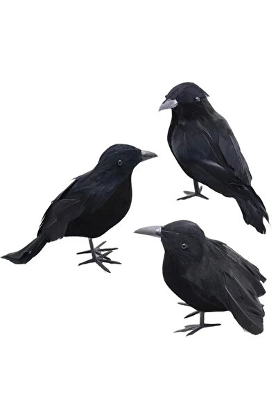 Choice 3 قطع/قطعة واحدة/3 قطع غراب أسود، ألعاب طيور مزيفة، ريش، طارد للحشرات،...