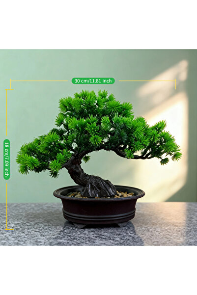 Choice قطعة واحدة من شجرة بونساي صينية زن دائرية في وعاء، منظر طبيعي صناعي من...