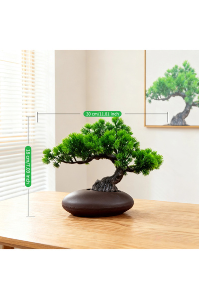 Choice قطعة واحدة من حوض بيضاوي الشكل، شجرة بونساي صينية على طراز زن، منظر طب...