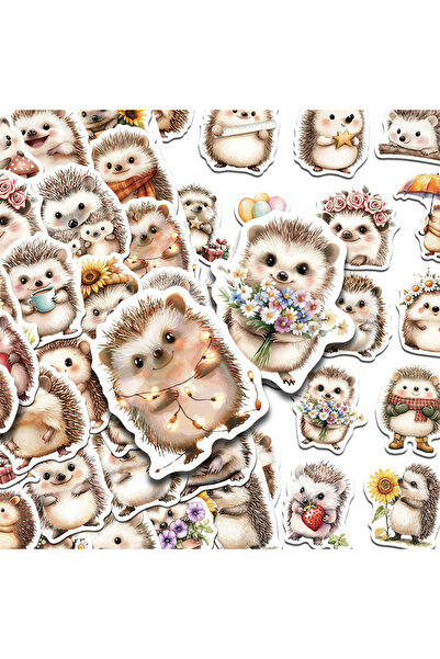 Choice ملصقات قنفذ لطيفة متعددة الألوان، 50 قطعة، ملصقات يمكنك صنعها بنفسك، م...