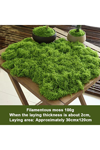 Choice Light green100g Lifelike Evergreen Artificial Moss: Ideal for DIY Craf...