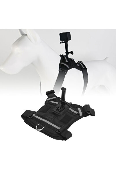 Choice حزام للكلاب، حامل كاميرا، سترة قابلة للتعديل ومريحة للحيوانات الأليفة،...