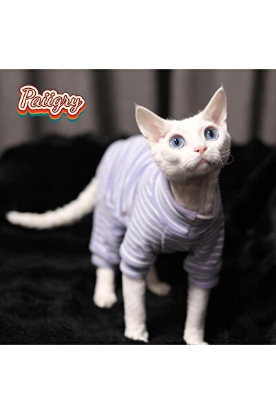 Choice ملابس قطط بدون شعر، لون بنفسجي، ثلاثية الألوان، رباعية الأرجل، من مارك...