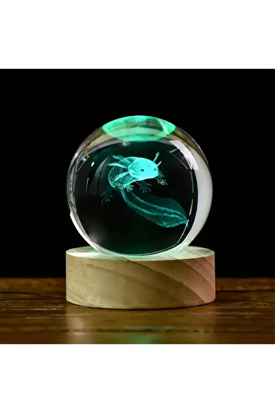 Choice Salamander 1 pc 3D Salamander Crystal Ball gift with wooden lamp holde...
