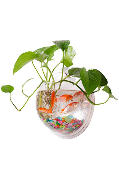 Choice قطعة واحدة من حوض سمك أكريليك شفاف معلق على الحائط، وعاء زينة معلق على...