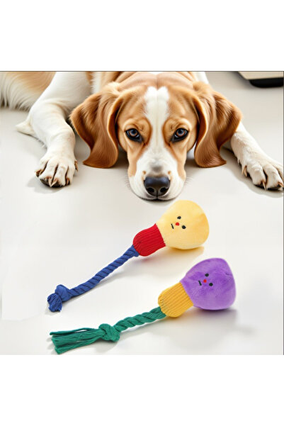 Choice لعبة مضغ قطيفة للكلاب بلون عشوائي، لعبة لطيفة مقاومة للعض على شكل مصبا...