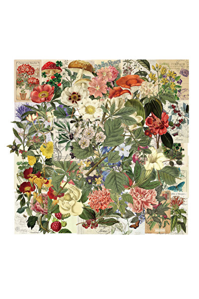 Choice مجموعة ملصقات نباتية شفافة متعددة الألوان مكونة من 50 قطعة، بتصميم كرت...