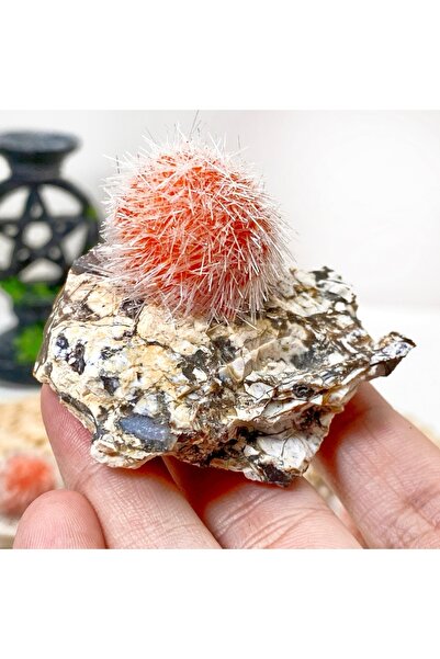 Choice قطعة واحدة عشوائية من معدن الزيوليت، قطعة واحدة نادرة من معدن الزيوليت...