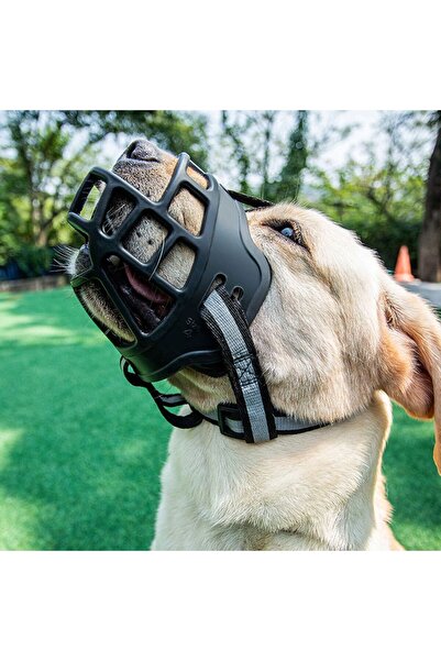 Choice كمامة قابلة للتعديل للكلاب بوزن 35-55 كجم، غطاء فم مضاد للعض مع شريط ع...