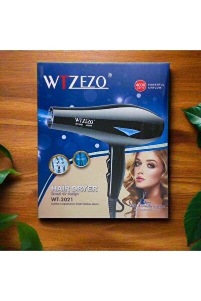 WTZEZO Professional Hair Dryer 4000W