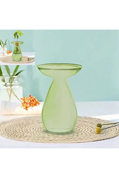 Choice A1 Colorful Transparent Avado ponic Vase Glass Avado Seed Starter Vase...