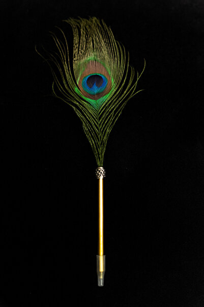 Generic Peacock Feather Pen