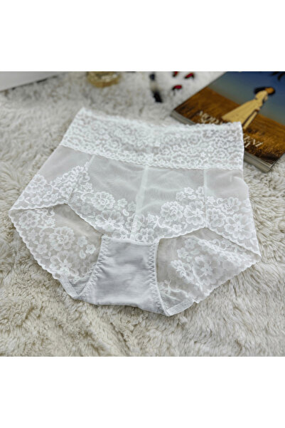 Elaram Yüksek Bel Dantelli Kadın Külot – Yumuşak Dokulu, Konforlu Günlük İç Ç...