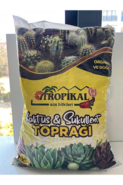 Sukulent toprağı