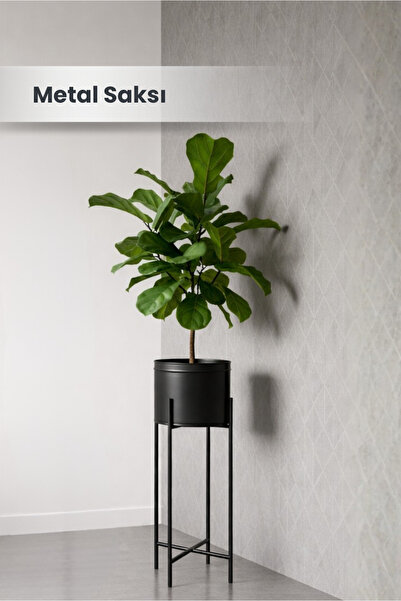 Orvila Siyah Dekoratif Ayaklı Metal Çiçeklik | 64 Cm Saksılık