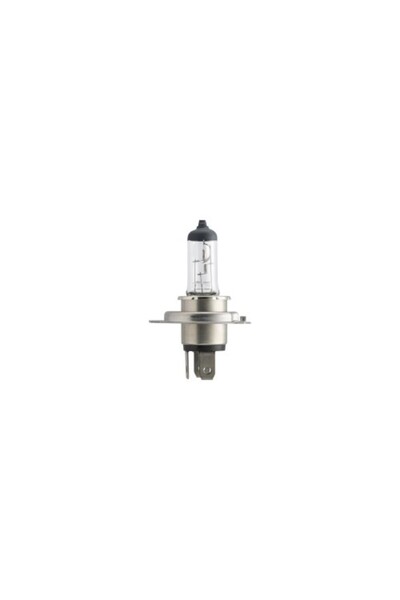 Philips Set 2 Becuri Far H4 6055W 12V Durată de viață mai lungă Ecovision