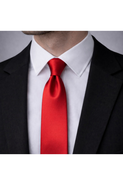 SE Jewellery Collection Selin Ersoy Unisex Kırmızı Saten Kravat – Düz Parlak ...