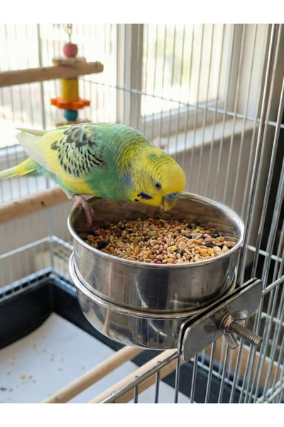 sevgipet Vidalı Sistem Paslanmaz Çelik Kuş Mama ve Su Kabı ( 15 cm )