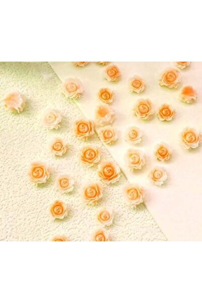 Pink Nails 3D Nail Art Set Camellia Orange