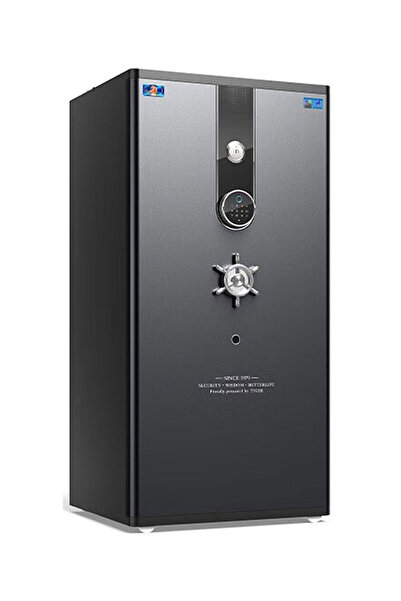 HAKAN KASA Hanhai Ekonomik Serisi Dijital Şifreli & Parmak İzli Akıllı Çelik ...