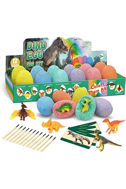 Generic Dinosaur Egg Excavation Kit