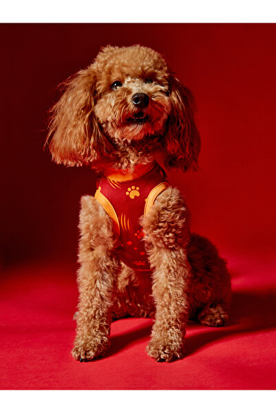 GSStore Galatasaray Pet T-Shirt U251608