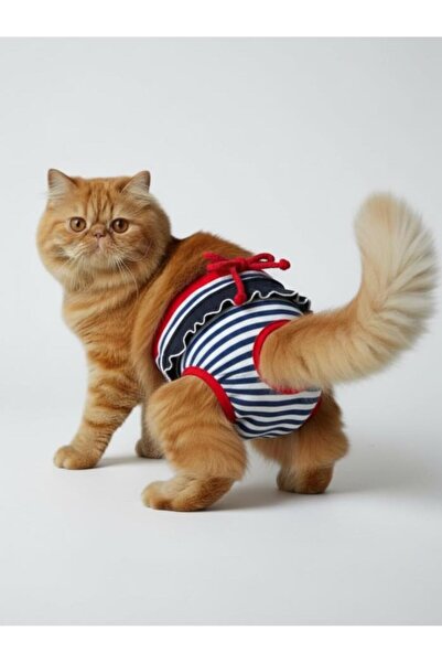 Kemique سراويل داخلية للحيض من بريتي ليفا ديشي كات |   قطة دونو |   ملابس داخ...