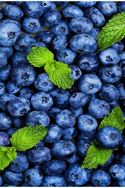 KEMAL ABİ مفارش طاولة أمريكية وسجادة مائدة من البي في سي قابلة للمسح 4 قطع