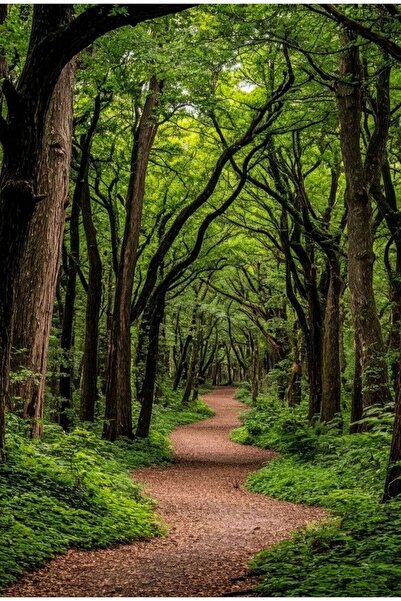 KEMAL ABİ مفارش طاولة أمريكية وسجادة مائدة من البي في سي قابلة للمسح 4 قطع