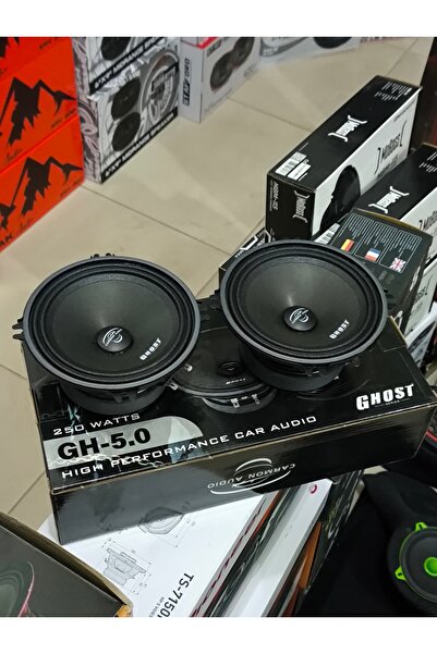 patili tasarım Carmon 13 cm Midrange Hoparlör Takım