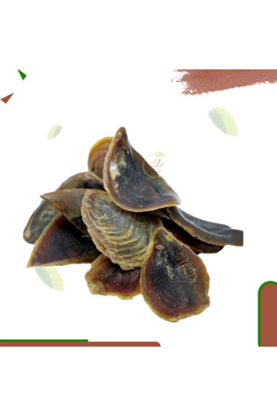 alatar بخور ظفر ٥٠ غرامًا