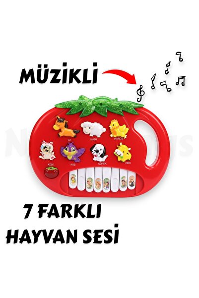 YILDIRIM OYUNCAK Sesli Müzikli 7 Farklı Hayvan 10 Fonksiyonlu Sesli Kırmızı 2...