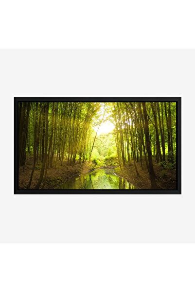 Tajridhome لوحة غابات - نهر هادئ - أشجار خضراء - مشمس - لوحات طبيعة - لوحات ك...