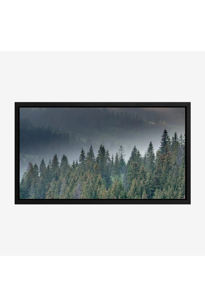 Tajridhome لوحة غابات - أشجار خضراء - ضباب خفيف - هادئ - لوحات طبيعة - لوحات ...