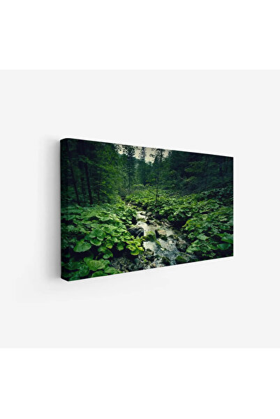 Tajridhome لوحة طبيعة هادئة - مجرى مائي - نباتات خضراء - هادئ - لوحات طبيعة -...