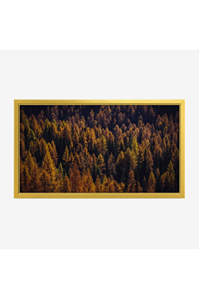 Tajridhome لوحة غابات - أشجار خضراء وصفراء - ألوان دافئة - هادئ - لوحات طبيعة...