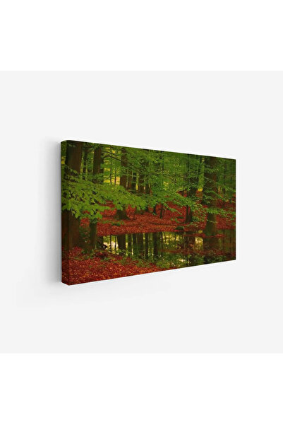 Tajridhome لوحة غابات - أشجار خضراء - أوراق حمراء - هادئ - لوحات طبيعة - لوحا...
