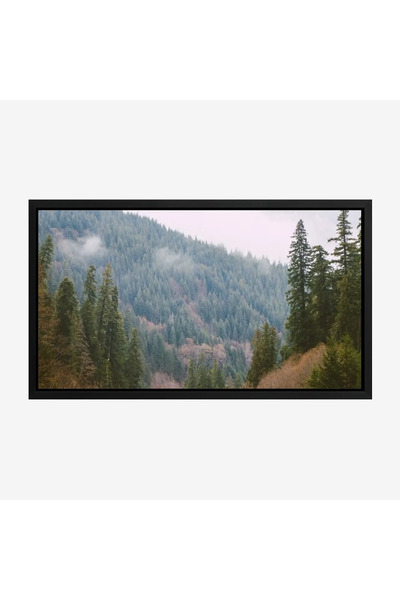 Tajridhome لوحة غابات - أشجار خضراء - ضباب خفيف - هادئ - لوحات طبيعة - لوحات ...