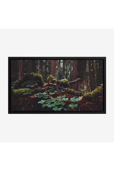 Tajridhome لوحة غابات - جذوع أشجار - ألوان خضراء داكنة - هادئ - لوحات طبيعة -...