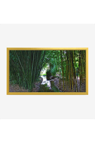 Tajridhome لوحة غابات - مجرى مائي - أخضر - هادئ - لوحات طبيعة - لوحات كانفاس