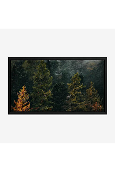 Tajridhome لوحة غابات - أشجار خضراء - ألوان داكنة - هادئ - لوحات طبيعة - لوحا...