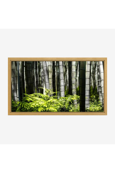 Tajridhome لوحة غابات - أعمدة خيزران - ألوان خضراء - هادئ - لوحات طبيعة - لوح...