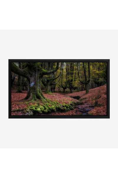 Tajridhome لوحة غابات - أشجار خضراء - أرضية مغطاة بالأوراق - هادئ - لوحات طبي...