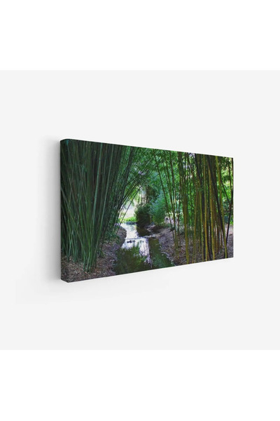 Tajridhome لوحة غابات - مجرى مائي - أخضر - هادئ - لوحات طبيعة - لوحات كانفاس
