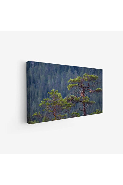 Tajridhome لوحة غابات - أشجار خضراء - خلفية جبلية - هادئ - لوحات طبيعة - لوحا...