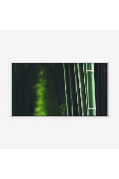 Tajridhome Forest painting - Bamboo sticks - Green colors - Serene - Nature p...